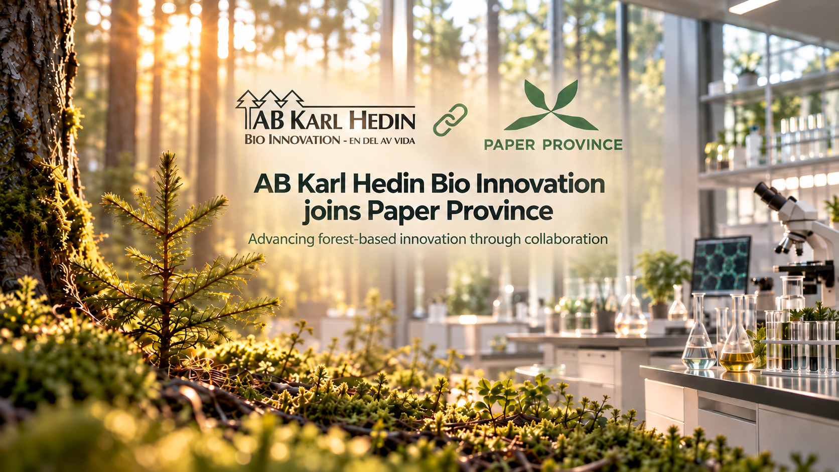 Strengthening Our Network in the Forest Bioeconomy