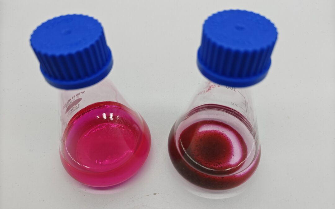 Tailored Organosolv Lignin for Efficient Dye Removal 